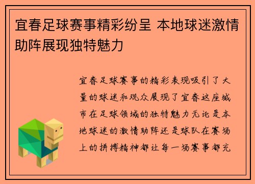宜春足球赛事精彩纷呈 本地球迷激情助阵展现独特魅力