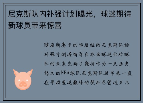 尼克斯队内补强计划曝光，球迷期待新球员带来惊喜