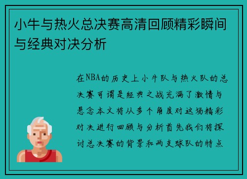 小牛与热火总决赛高清回顾精彩瞬间与经典对决分析