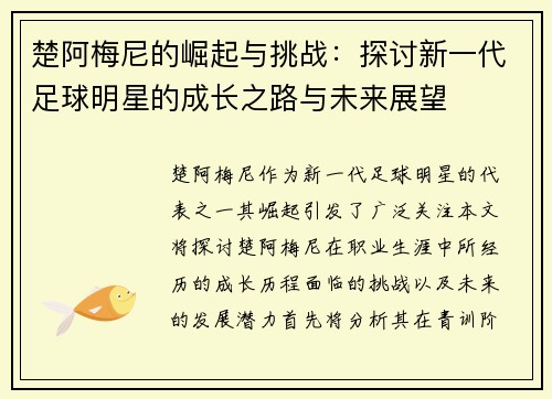 楚阿梅尼的崛起与挑战：探讨新一代足球明星的成长之路与未来展望