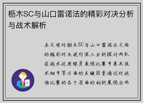 枥木SC与山口雷诺法的精彩对决分析与战术解析