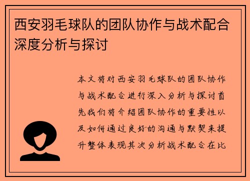 西安羽毛球队的团队协作与战术配合深度分析与探讨